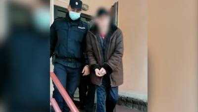 Александр Бастрыкин - В Северодвинске задержан подозреваемый в жестоком убийстве подростка - dp.ru - Россия - Северодвинск