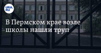 В Пермском крае возле школы нашли труп - ura.news - Пермский край