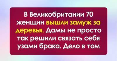 Зачем женщины массово выходят замуж за дубы и другие деревья - skuke.net - Англия - Экология