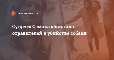 Сергей Семак - Анна Семак - Супруга Семака обвинила отравителей в убийстве собаки - ren.tv