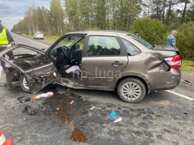Страшная авария на Киевском шоссе отправила в больницу ещё четверых пострадавших - neva.today - Ленинградская обл. - Санкт-Петербург - Псков