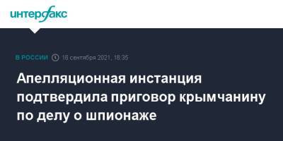 Апелляционная инстанция подтвердила приговор крымчанину по делу о шпионаже - interfax.ru - Москва - Украина - Крым - Сочи - Симферополь