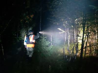 Сальваровцы рассказали, как нашли пожилую смолянку в лесном овраге - rabochy-put.ru - Смоленск