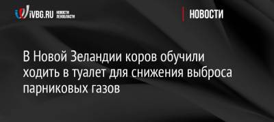 В Новой Зеландии коров обучили ходить в туалет для снижения выброса парниковых газов - ivbg.ru - Россия - Украина - Австралия - Новая Зеландия