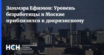 Владимир Ефимов - Заммэра Ефимов: Уровень безработицы в Москве приблизился к докризисному - nsn.fm - Москва