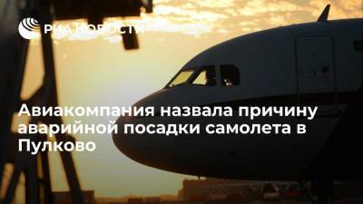 Аварийно севший в Пулково самолет из Антальи попал в стаю птиц - ria.ru - Москва - Россия - Санкт-Петербург - Турция