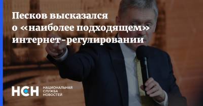 Дмитрий Песков - Песков высказался о «наиболее подходящем» интернет-регулировании - nsn.fm - Москва - Россия