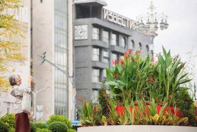 Сергей Есенин - Москвичам предложили посетить необычные сады «Цветочного джема» на Тверском бульваре - vm.ru