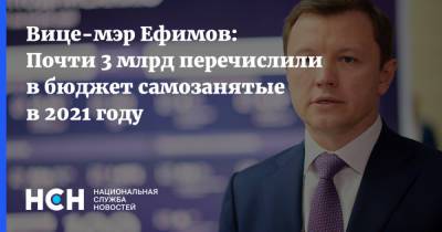 Владимир Ефимов - Вице-мэр Ефимов: Почти 3 млрд перечислили в бюджет самозанятые в 2021 году - nsn.fm - Москва - Россия