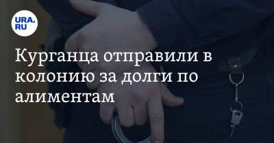 Курганца отправили в колонию за долги по алиментам - ura.news - Россия - Курганская обл.