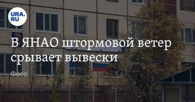 В ЯНАО штормовой ветер срывает вывески. Фото - ura.news - Россия - Тюмень - Салехард - окр. Янао