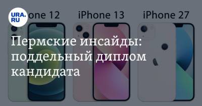 Александр Бастрыкин - Пермские инсайды: поддельный диплом кандидата - ura.news