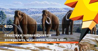 Генетики запланировали воскресить мамонтов через 6 лет - ridus.ru - Россия