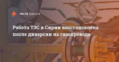 Работа ТЭС в Сирии восстановлена после диверсии на газопроводе - ren.tv - Сирия - Дамаск