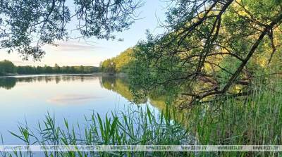 В Гродненской области выявили нарушения на арендованных водоемах - belta.by - Белоруссия - Гродненская обл.