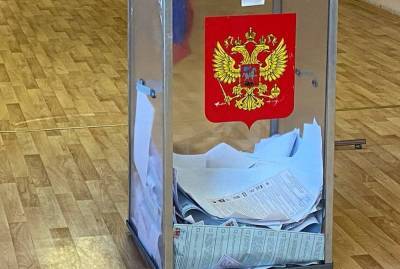 Ирина Фатьянова - Мужчину со стопкой бюллетеней задержали на выборах в Петербурге - neva.today - Санкт-Петербург