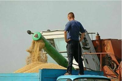 Данные о зерновой продукции соберут в единую информационную систему - pnp.ru