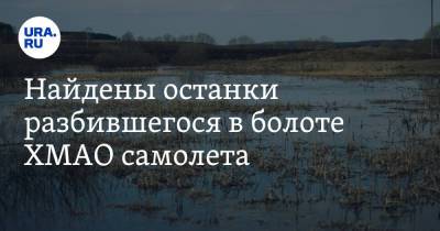 Найдены останки разбившегося в болоте ХМАО самолета - ura.news - Югра - Уральск - р-н Советский