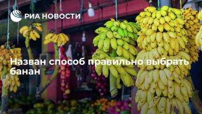 Sohu: главными критериями при выборе банана является цвет и эластичность кожуры - ria.ru - Москва