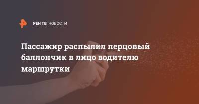 Пассажир распылил перцовый баллончик в лицо водителю маршрутки - ren.tv - Челябинск - Рязань