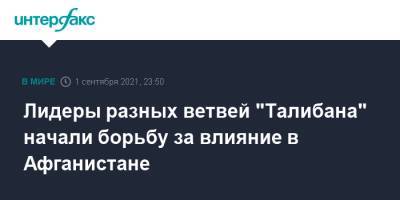 Абдул Гани Барадар - Лидеры разных ветвей "Талибана" начали борьбу за влияние в Афганистане - interfax.ru - Москва - Россия - Афганистан - Талибан