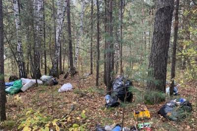 В Новосибирске грибники отправятся в лес за мусором 2 сентября - novos.mk.ru - Новосибирск
