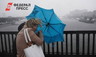 В Югре синоптики прогнозируют шквалистый ветер - fedpress.ru - Россия - Ханты-Мансийск - Югра