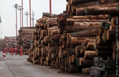 Запрет экспорта круглого леса потребует переходного периода в ДФО - interfax.ru - Москва - Россия - Китай