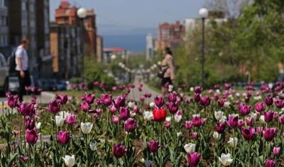 Летнее тепло вернётся в сентябре в Тюмень - nashgorod.ru - Тюмень