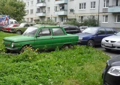 Смоляне продолжают нарушать правила благоустройства города - rabochy-put.ru - Смоленск