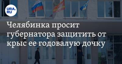 Челябинка просит губернатора защитить от крыс ее годовалую дочку. Видео - ura.news - Челябинская обл.