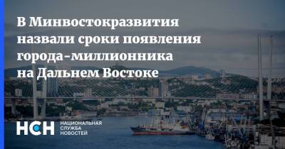 Алексей Чекунков - В Минвостокразвития назвали сроки появления города-миллионника на Дальнем Востоке - nsn.fm - Владивосток - окр. Дальневосточный - Дальний Восток