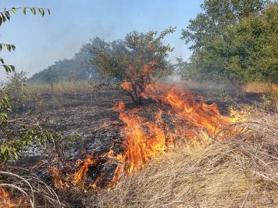 В Ульяновской области тушили три лесных пожара и сухую траву - ulpravda.ru - Ульяновская