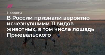 В России признали вероятно исчезнувшими 11 видов животных, в том числе лошадь Пржевальского - tvrain.ru - Россия