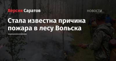 Стала известна причина пожара в лесу Вольска - nversia.ru - Вольск - Экология