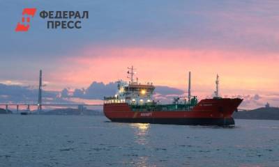 Российские нефтяники за год сократили поставки нефти по системе «Дружба» почти на 25 %. - fedpress.ru - Москва