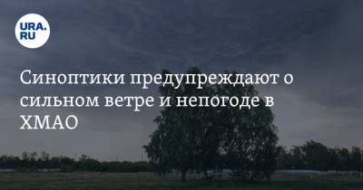 Синоптики предупреждают о сильном ветре и непогоде в ХМАО - ura.news - Югра