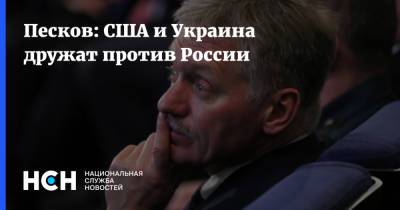 Владимир Зеленский - Дмитрий Песков - Джо Байден - Песков: США и Украина дружат против России - nsn.fm - Россия - США - Украина - Крым
