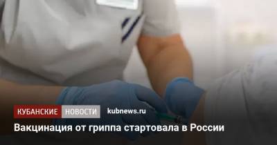 Анна Попова - Вакцинация от гриппа стартовала в России - kubnews.ru - Россия - Краснодарский край