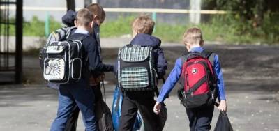 В Красногорске два брата десяти и одиннадцатилетнего возраста впервые пошли в школу - runews24.ru - Украина - Московская обл. - Красногорск