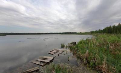 В Тюмени качество воды в трех популярных у горожан водоемах не соответствует нормам - news.megatyumen.ru - Тюмень