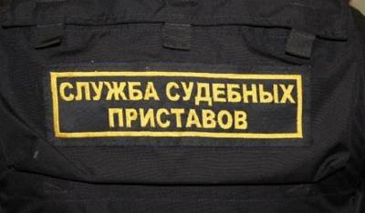 С начала года приставы взыскали с неплательщиков более 17 млрд рублей алиментов - mirnov.ru - Россия