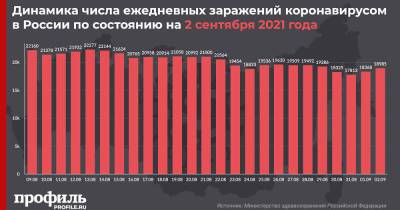 За сутки в России выявили 18985 новых случаев заражения COVID-19 - profile.ru - Москва - Россия - Санкт-Петербург - Московская обл.