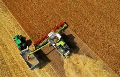 Урожайность озимых в Континентал превысила план - agroportal.ua - Украина