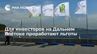 ВЭБ и Минвостокразвития проработают инструменты льгот для инвесторов на Дальнем Востоке - smartmoney.one - Россия - Владивосток