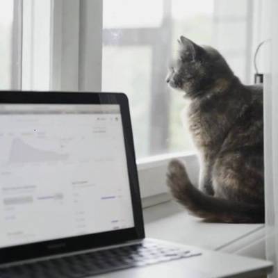 Антон Котяков - На удаленном формате работы в России остаётся до 3 миллионов человек - radiomayak.ru - Россия