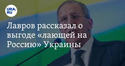 Владимир Зеленский - Сергей Лавров - Лавров рассказал о выгоде «лающей на Россию» Украины - ura.news - Россия - Украина - ДНР - Донбасс