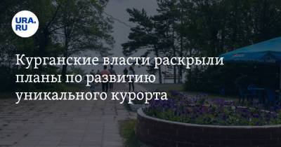 Курганские власти раскрыли планы по развитию уникального курорта - ura.news - Израиль - Курганская обл.