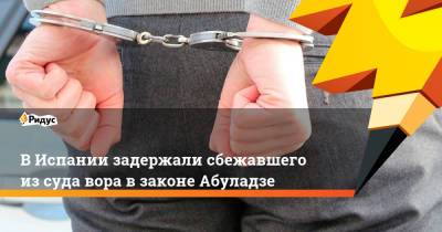 ВИспании задержали сбежавшего из суда вора взаконе Абуладзе - ridus.ru - Украина - Испания