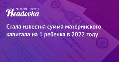 Антон Котяков - Стала известна сумма материнского капитала на 1 ребенка в 2022 году - readovka.news - Россия